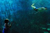 Кадр Рай океана