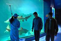 Кадр Рай океана