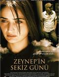 Постер из фильма "Восемь дней Зейнеп" - 1