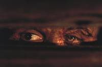 Кадр Франкенштейн