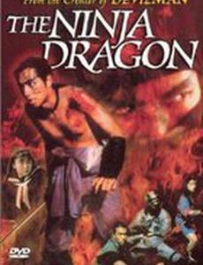 Ниндзя — дракон (видео)