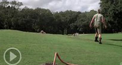 Фрагмент №1