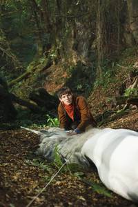 Кадр Мерлин