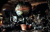 Кадр Лавка ужасов