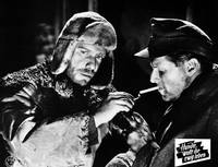 Кадр Собаки, хотите жить вечно?