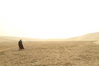 Кадр Черное золото