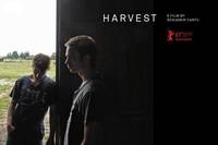 Постер Урожай