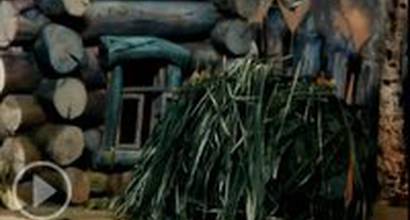 Мультфильм