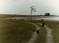 Кадр Жертвоприношение