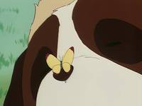 Кадр Хэйди – девочка Альп