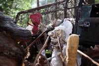 Кадр Куки возвращается