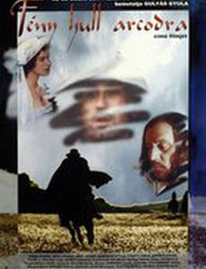 Свет падает на твое лицо