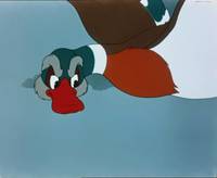 Кадр Лягушка-путешественница