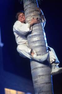 Кадр Ниндзя из Беверли Хиллз