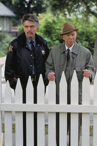 Кадр Частокол