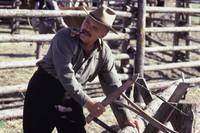 Кадр Легенды осени