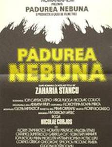 Безумный лес