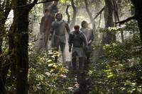 Кадр Мерлин