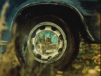 Кадр Сказка сказок