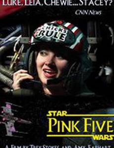 Pink Five (видео)