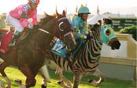 Кадр Бешеные скачки