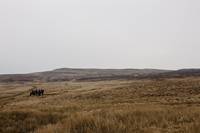 Кадр Мерлин