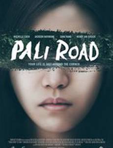 Дорога на Пали