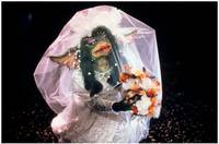 Кадр Гремлины 2: Новенькая партия