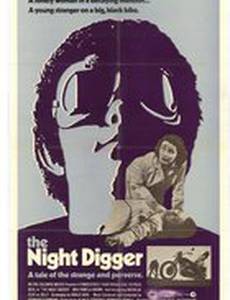 Ночной мотоциклист