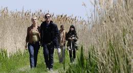 Кадр из фильма "Убийца с камерой" - 2