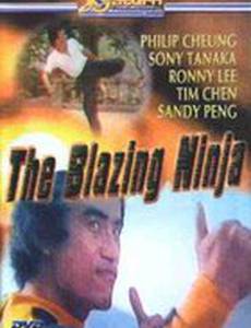 The Blazing Ninja