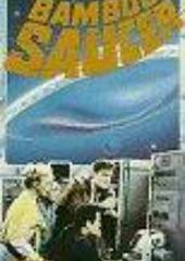 Бамбуковая летающая тарелка