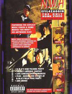 N.W.A.: Efil4zaggin - The Only Home Video (видео)