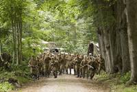 Кадр 4 дня в мае