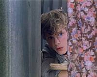 Кадр Красные пчелы