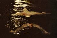 Кадр Шпион, который меня любил