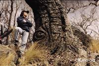 Кадр Лемони Сникет: 33 несчастья