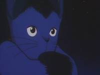 Кадр Ночь на Галактической железной дороге