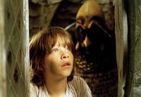 Кадр Эрик в стране насекомых