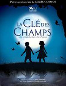 Сфера колдовства