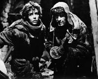 Кадр Собаки, хотите жить вечно?