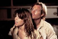 Кадр Кинг Конг жив