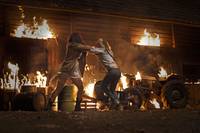 Кадр Грибы 3D