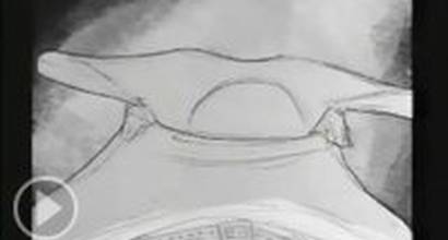 Мультфильм