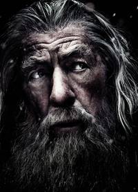 Постер Хоббит: Битва пяти воинств