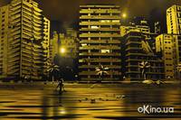 Кадр Вальс с Баширом