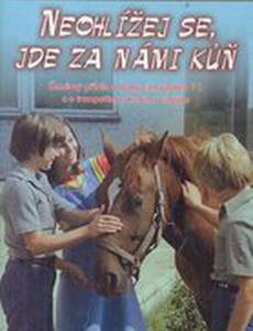 Не оглядывайся, за нами лошадь!