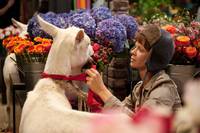 Кадр Переменная облачность