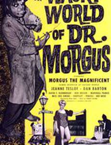 The Wacky World of Dr. Morgus
