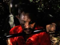 Кадр Лошадь Деньги